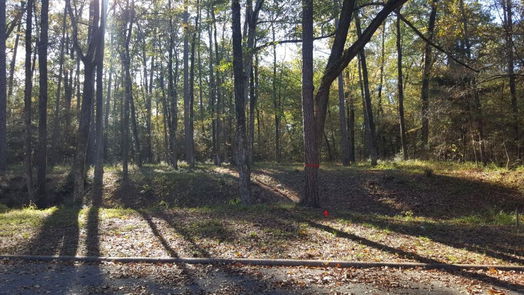 Huntsville null-story, null-bed 26721 E Pecan Circle Circle-idx