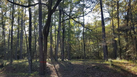 Huntsville null-story, null-bed 26721 E Pecan Circle Circle-idx