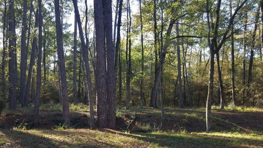 Huntsville null-story, null-bed 26721 E Pecan Circle Circle-idx