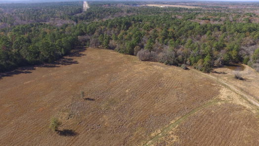 Huntsville null-story, null-bed 13.71 Acres Tract 1 TBD Percy Howard Rd-idx