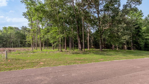 Huntsville null-story, null-bed Lot 35 Naples Way-idx