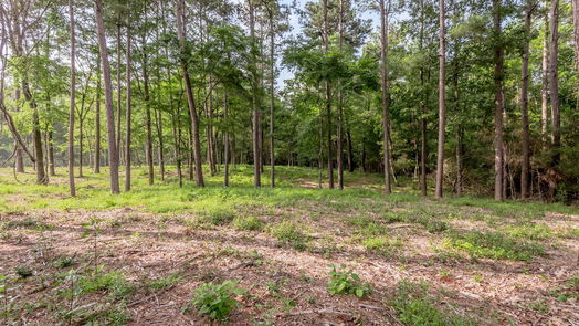 Huntsville null-story, null-bed Lot 35 Naples Way-idx