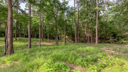 Huntsville null-story, null-bed Lot 35 Naples Way-idx