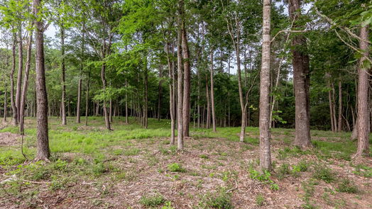 Huntsville null-story, null-bed Lot 35 Naples Way-idx