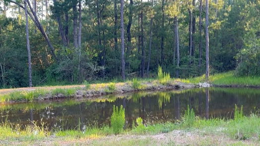 Huntsville null-story, 3-bed 23000 Waterwood Parkway W-idx