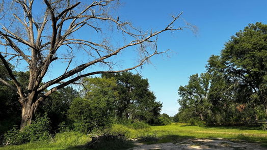 Huntsville 2-story, 3-bed 182 Duerer Road-idx