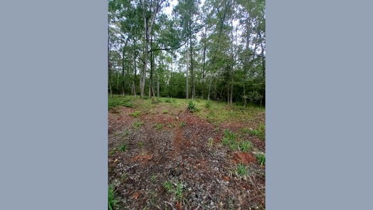 Huntsville null-story, null-bed 26721 E Pecan Circle Circle-idx