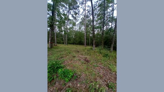 Huntsville null-story, null-bed 26721 E Pecan Circle Circle-idx