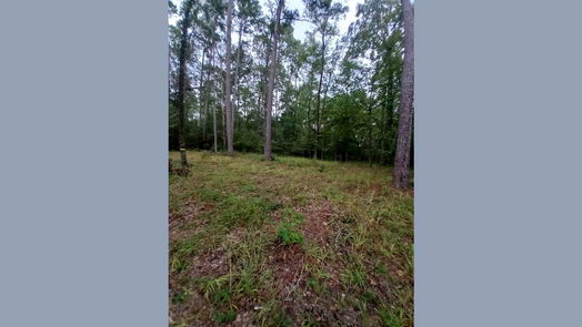 Huntsville null-story, null-bed 26721 E Pecan Circle Circle-idx