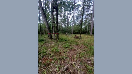 Huntsville null-story, null-bed 26721 E Pecan Circle Circle-idx