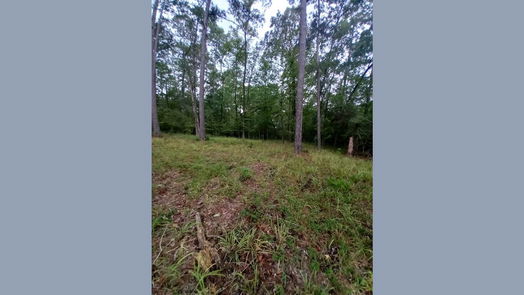 Huntsville null-story, null-bed 26721 E Pecan Circle Circle-idx