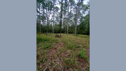 Huntsville null-story, null-bed 26721 E Pecan Circle Circle-idx