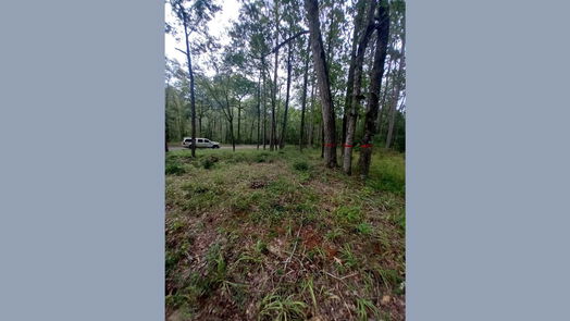 Huntsville null-story, null-bed 26721 E Pecan Circle Circle-idx