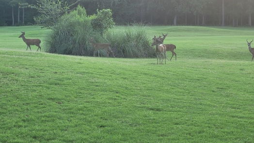 Huntsville 2-story, 1-bed 501 Waterwood Bay rd Road 209-idx