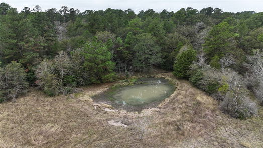 Huntsville null-story, null-bed 13.71 Acres Tract 1 TBD Percy Howard Rd-idx