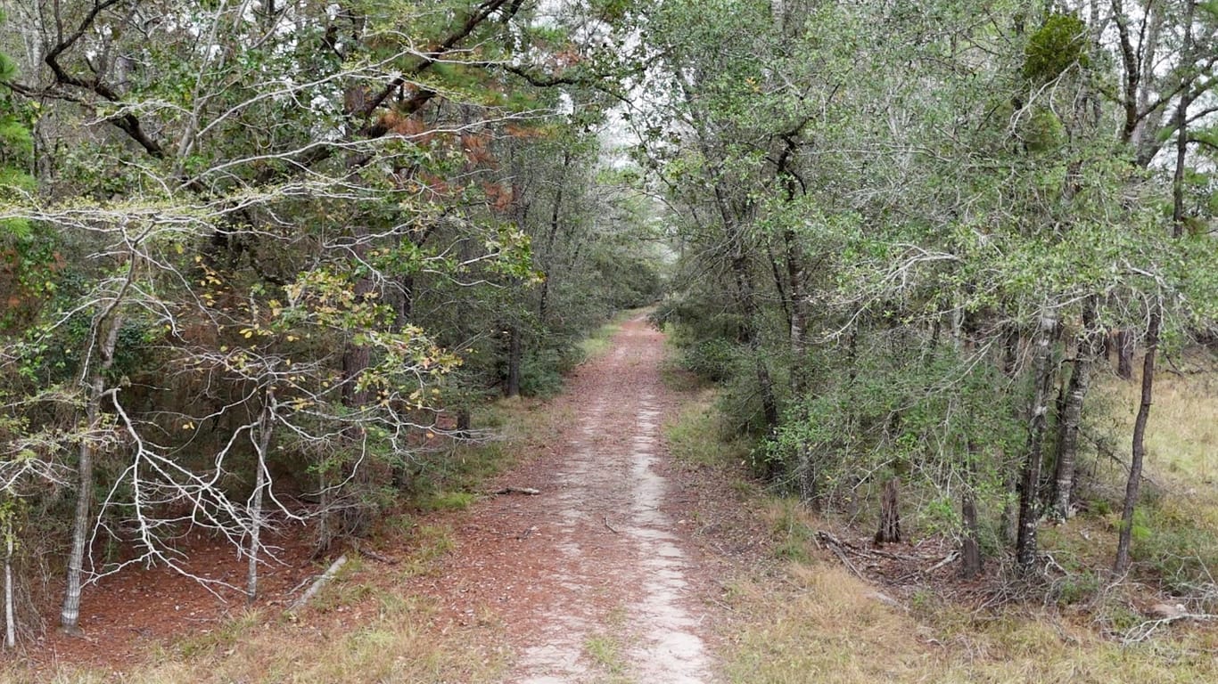 Huntsville null-story, null-bed 13.71 Acres Tract 1 TBD Percy Howard Rd-idx