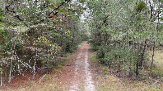 Huntsville null-story, null-bed 13.71 Acres Tract 1 TBD Percy Howard Rd-idx