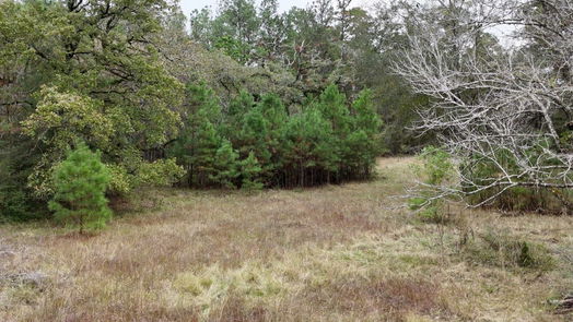 Huntsville null-story, null-bed 13.71 Acres Tract 1 TBD Percy Howard Rd-idx