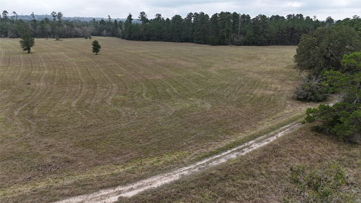 Huntsville null-story, null-bed 13.71 Acres Tract 1 TBD Percy Howard Rd-idx