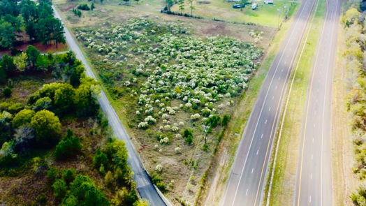 Huntsville null-story, null-bed 3084 HWY 19-idx