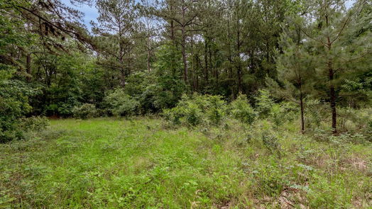 Oakhurst 1-story, 2-bed 4750 W Old Staley Road-idx