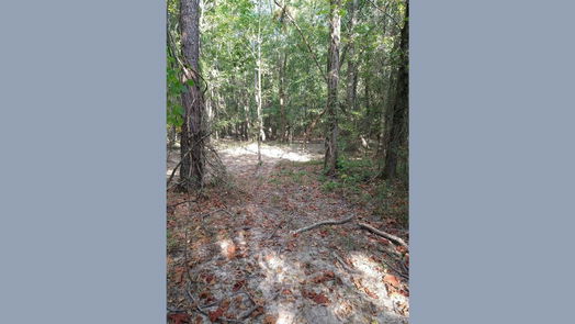Cleveland null-story, null-bed 986 County Road 325-idx