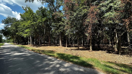 Cleveland null-story, null-bed Lots 20 & 21 County Road 2191-idx