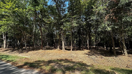 Cleveland null-story, null-bed Lots 20 & 21 County Road 2191-idx