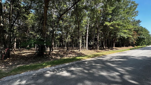 Cleveland null-story, null-bed Lots 20 & 21 County Road 2191-idx