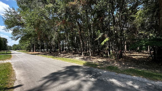 Cleveland null-story, null-bed Lots 20 & 21 County Road 2191-idx