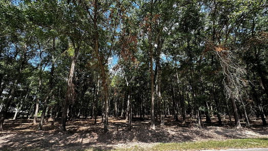 Cleveland null-story, null-bed Lots 20 & 21 County Road 2191-idx
