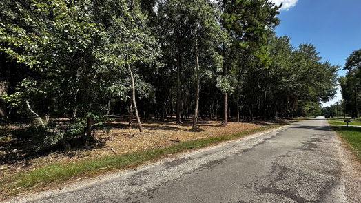 Cleveland null-story, null-bed Lots 20 & 21 County Road 2191-idx