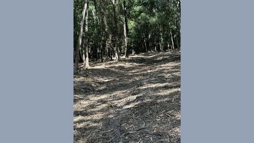 Cleveland null-story, null-bed Lots 20 & 21 County Road 2191-idx