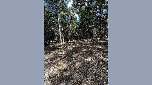 Cleveland null-story, null-bed Lots 20 & 21 County Road 2191-idx