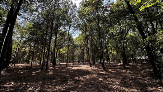 Cleveland null-story, null-bed Lots 20 & 21 County Road 2191-idx