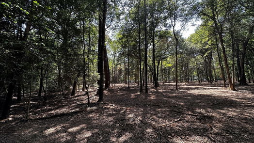 Cleveland null-story, null-bed Lots 20 & 21 County Road 2191-idx