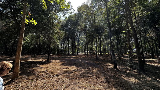 Cleveland null-story, null-bed Lots 20 & 21 County Road 2191-idx