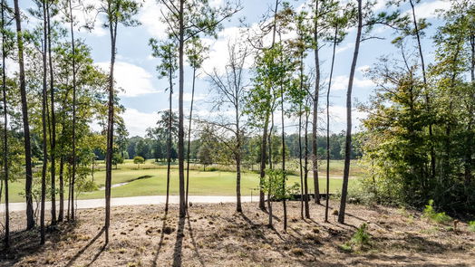 Cleveland 2-story, 4-bed 40241 Spyglass Hill Drive-idx