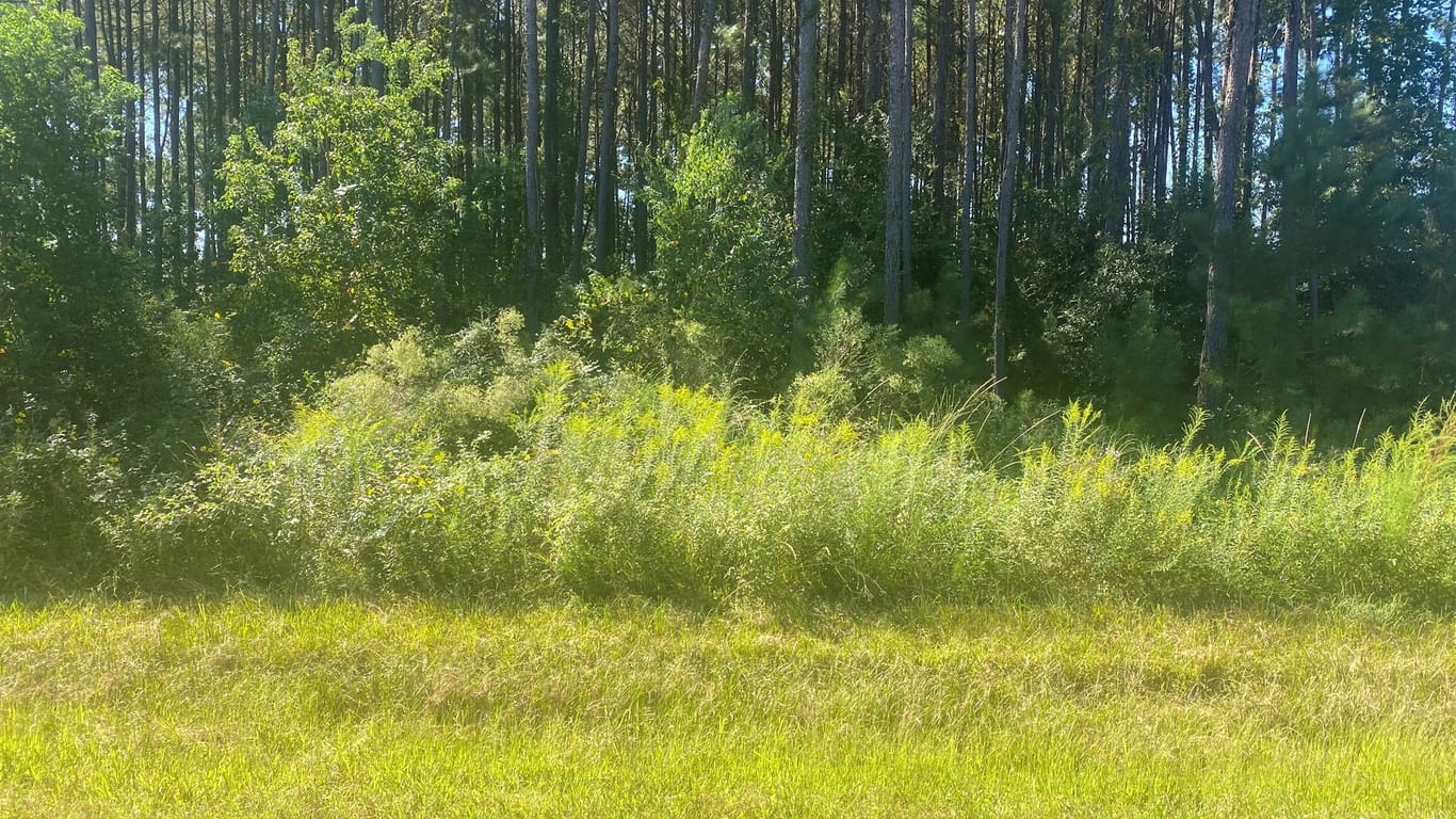 Cleveland null-story, null-bed 0 County Road 3545-idx