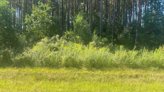 Cleveland null-story, null-bed 0 County Road 3545-idx