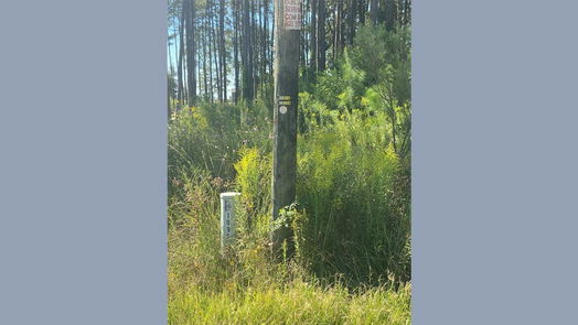 Cleveland null-story, null-bed 0 County Road 3545-idx
