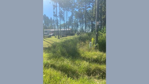 Cleveland null-story, null-bed 0 County Road 3545-idx