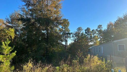 Cleveland null-story, null-bed 146 County Road 3479a-idx