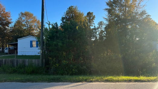 Cleveland null-story, null-bed 146 County Road 3479a-idx