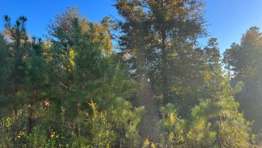 Cleveland null-story, null-bed 146 County Road 3479a-idx