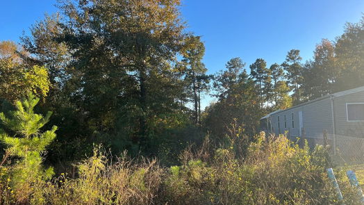 Cleveland null-story, null-bed 146 County Road 3479a-idx