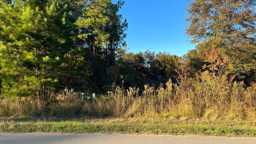 Cleveland null-story, null-bed 145 County Road 3479a-idx