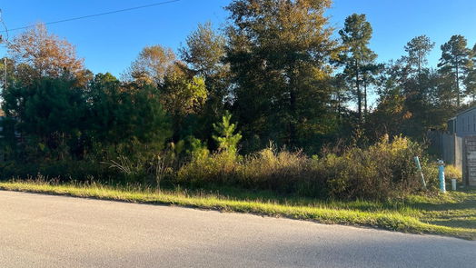 Cleveland null-story, null-bed 145 County Road 3479a-idx