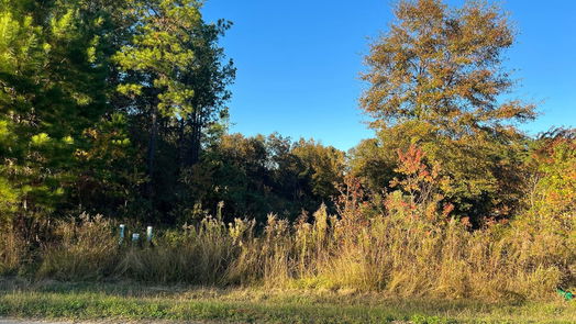 Cleveland null-story, null-bed 145 County Road 3479a-idx