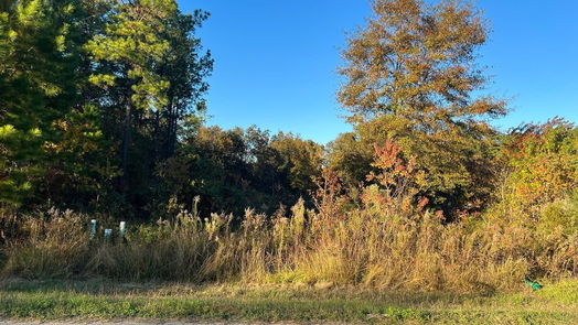 Cleveland null-story, null-bed 145 County Road 3479a-idx